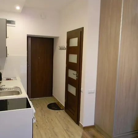 Kraszewskiego Apartamento *